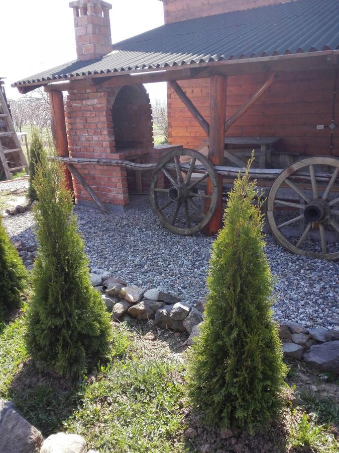 Villa The Wooden House Moldoveneşti Exterior foto